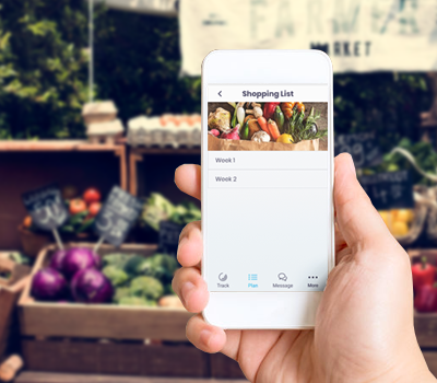 Weekly Shopping Lists in the Wild Challenge mobile app by Abel James